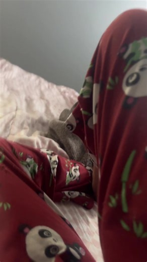 Penguins🪷🪸 (@mommyruby97)’s videos with Opera - Puccini - Hollywood Strings Orchestra