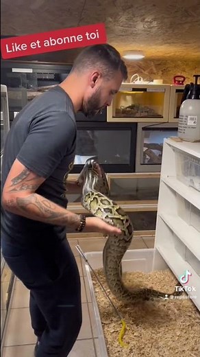 MANIPULATION PYTHON BIRMAN JABA LE TERRIBLE !!!