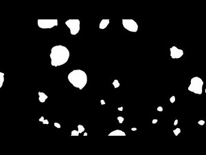 Falling Rose Petals Animation