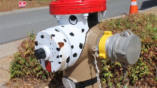 Follow these tips before and after hydrants are flushed in Hopewell