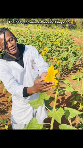 Agronomist Farmer Tips: Field Work vs Lab Work | Limpopo Agronomy