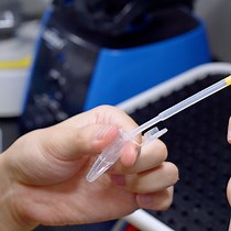 Video: Fluorescent In Situ Hybridization and 5-Ethynyl-2'-Deoxyuridine Labeling for Stem-Like Cells in the Hydrozoan Jellyfish Cladonema pacificum