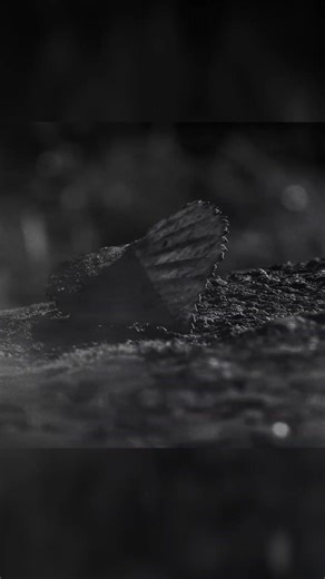 The Gate Is Open (You Need to Hear This) #postpunk #music #undergroundsounds #alternativerock #rock