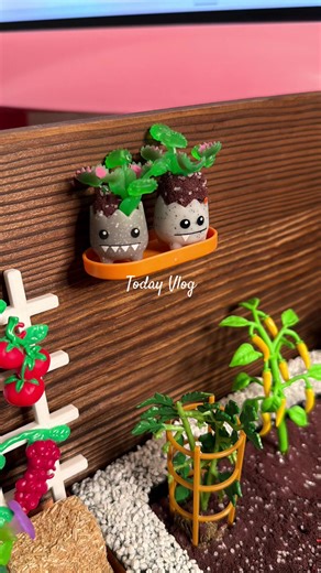 Creating a Thriving Mini Greenhouse Garden