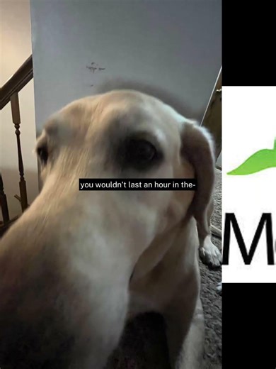 I HATE MOBYMAX AHSJDUSHVSBAJA #mobymax #school #ihateschool