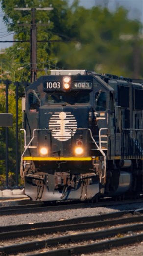 2.8K views · 168 reactions | A pair of Illinois Central SD70s, an SD70M-2 and two GP38-2s power a big mixed freight train on Canadian National's Chicago Subdivision at Homewood, Illinois. The two sharp-looking black engines look right at home thundering down the former main line of the Illinois Central Railroad and passing Homewood Tower! The lead engine, IC No. 1003, was built in 1995. The second engine, IC No. 1021, was built in 1999. | Trainiac Productions | Facebook
