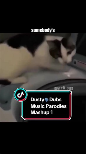 🎶 Music Parodies Mashup 1 #music #parody #parodies #funny