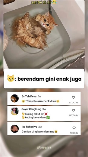 KUCING INI BERENDAM DI BAK MANDI! #shortvideo #cat #funyvideo