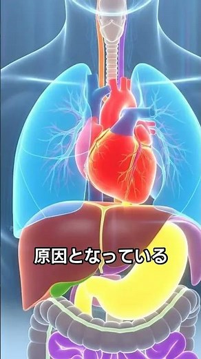 【急な腹痛】痛む場所で危険度がわかる！急性腹症の部位別鑑別と救急サイン
