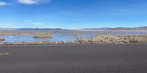Heavy snow or flooded pastures; A rough winter for ranchers