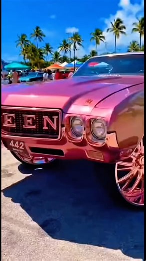 442 Chevelle Donk spotted