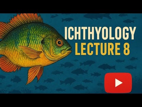 Ichthyology - Lecture 8 | Sensory Systems in Fish | Sight, Smell, Taste, Hearing & Lateral Line