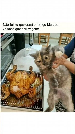 narrando memes em imagens #meme #memes #memesbr