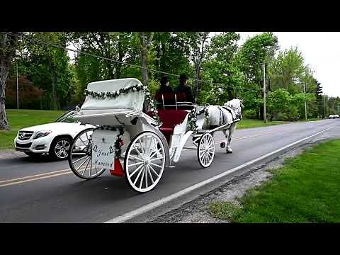 Dream comes true for Jackson bride with horse-and-carriage ride
