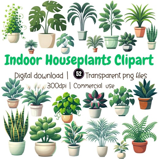 Potted Houseplant Clipart, Modern Botanical PNG, Plant Illustrations (digital Download) - Etsy