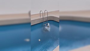 ‘The Swimming Pool’ optical illusion: Mind-bending creation that convinces people they’re underwater