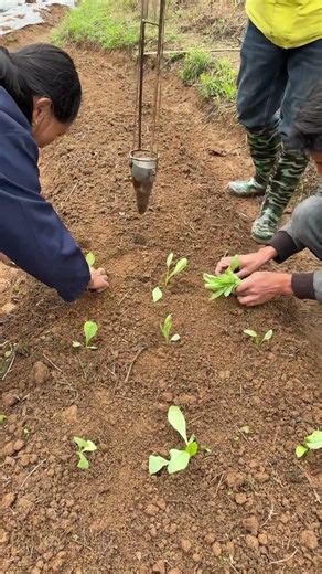 This hole-digging tool is so convenient, a must-have for planting!