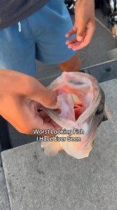 Old school cull tags have to go. Dude can barely eat. | Jake Bagwell