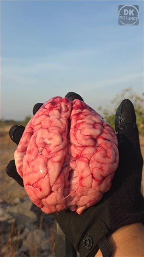Hyper-realistic Brain Cake 🍰 vs 9mm JHP
