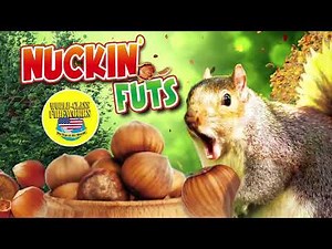 Nuckin Futs - 200g Aerial Firework - 100 Shots - Long Duration - World Class Fireworks