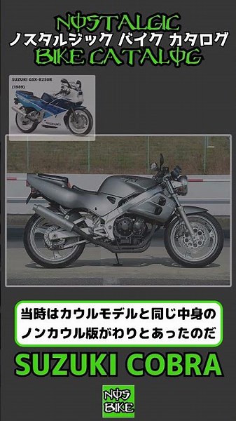 1分間解説 SUZUKI COBRA
