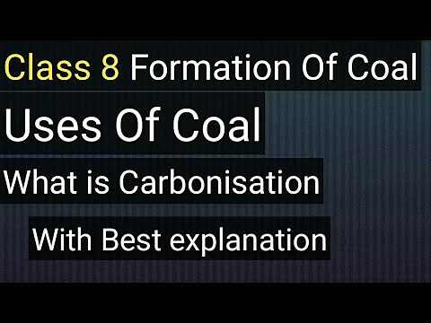 Class 8 Formation Of Coal And It's Uses