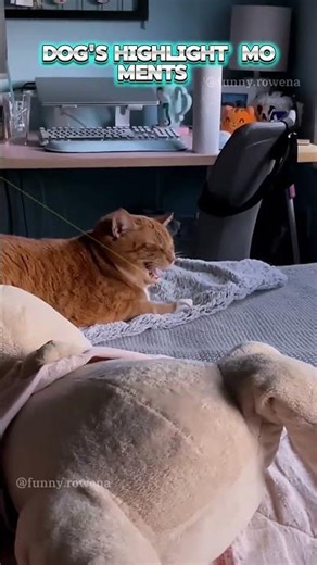 Phillies land All-Star closer Jhoan Duran ahead of MLB trade deadline 👀🔥 #JhoanDuran