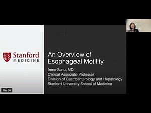 An Overview of Esophageal motility