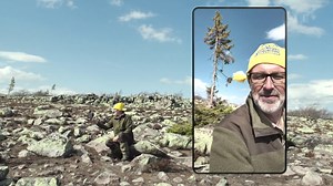 Peter Wohlleben und der Film «Das geheime Leben der Bäume»