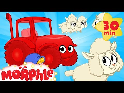 My Red Tractor - Fluffy Sheep | Mila and Morphle on the Farm | Cartoons for Kids | Morphle TV