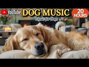 20 HOURS of Dog Calming Music💖🦮Soothing Dog Music for Emotional Balance🐶🐾Help With Separation Stress
