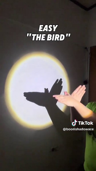 Quick Hand Shadowgraphy Techniques You Can Master