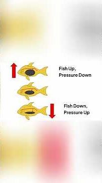The Pressure Secret That Changes Everything About Fish #fishing #technique #outdoors