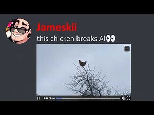 The Most Unusual Discord Videos 15