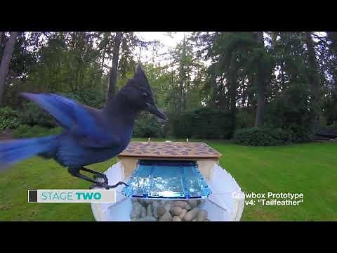 Crowbox: Build Your Own Crow Vending Machine