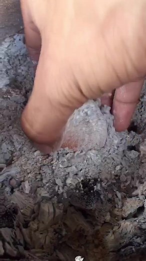 Exploring Egg Transformation: From Whole to Decomposition