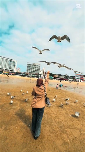 Incheon city tour😍 #travel #incheon #city_tour #korea