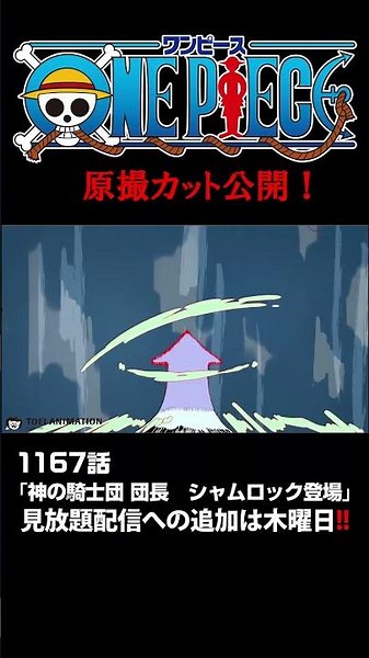 アニメ「#ONEPIECE」見放題配信への追加は木曜日‼️1167話‼️ #onepiece #原撮