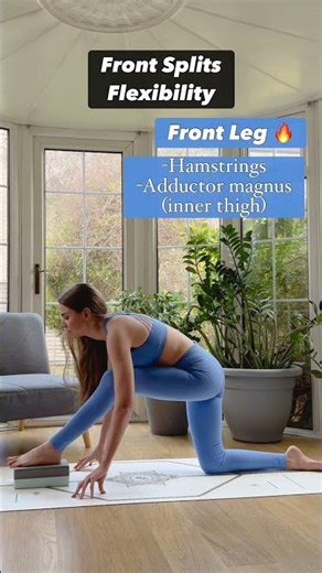 Front Splits Flexibility #mobility #yogapostures #split #advancedyoga