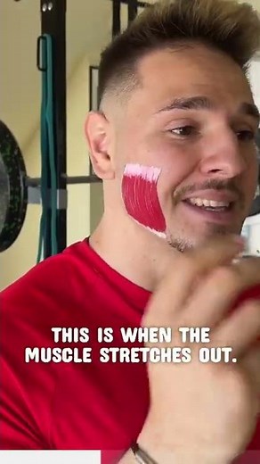 😬 Chewing Muscle Anatomy