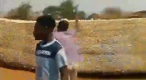 Gule wa train | Mikozi