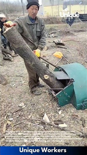 Wood Cutting Machine Process: Man Feeding Tree Log into Powerful Wood Chipper