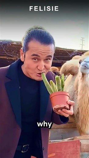 Why Do These People Like to Eat Cactus?