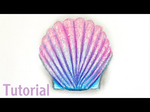 How To Draw A Shell | Color Pencil Tutorial