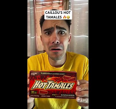 The Vincent Mottola Caillou Parody Compilation (Summer 2025 Edition) Vol. 5