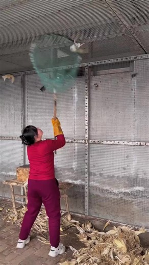 A cute little red-headed mouse held in the palm of your hand part 159 | Cute animal