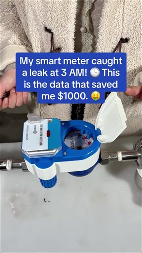 How My Smart Meter Saved Me $1000 from a Leak