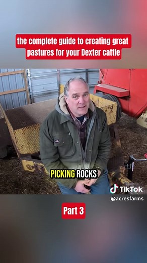 Creating Exceptional Pastures for Your Dexter Cattle