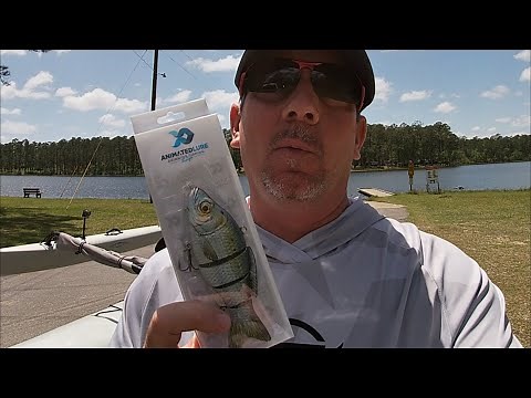 Animated Lure - Part 2 - Does it catch fish? Florida Man Review
