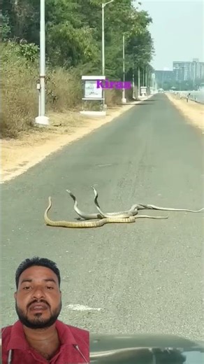 Incredible Gadgets and Tools Unveiled! 🔥✨ #shorts #Tech2025